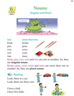 1st Grade Grammar Nouns Singular and Plural (1).jpg